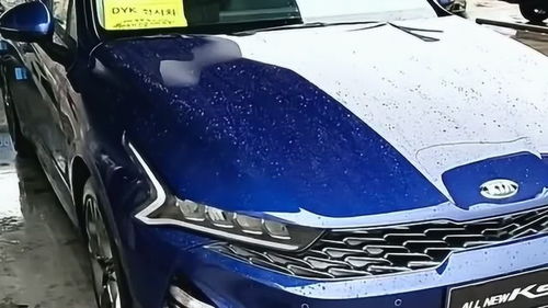 神车鼻祖回归，思域与起亚携惊艳外观重塑市场